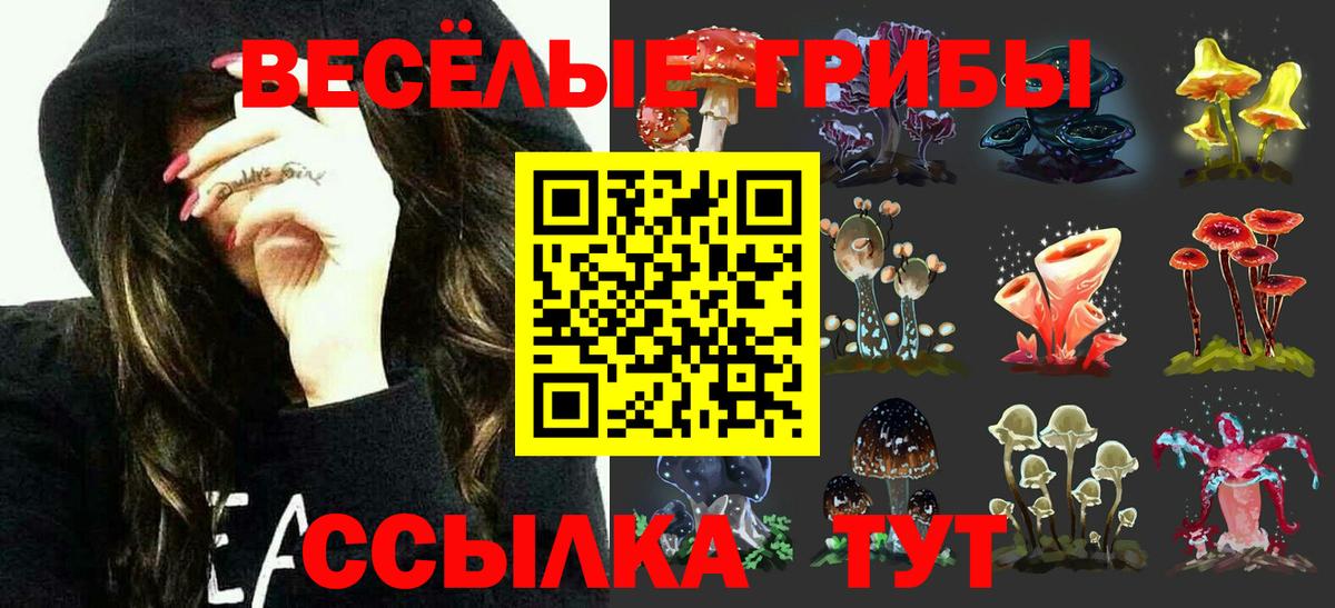 Галлюциногенные грибы Cubensis Великие Луки
